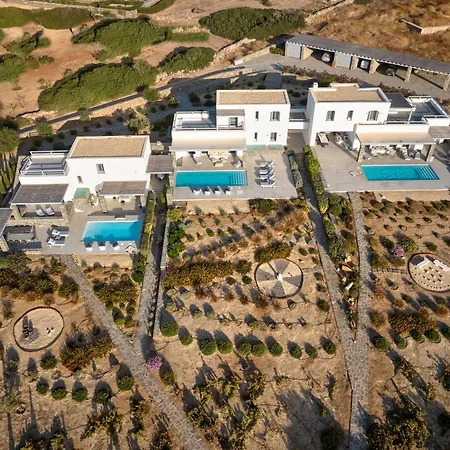 Ramus Paros *